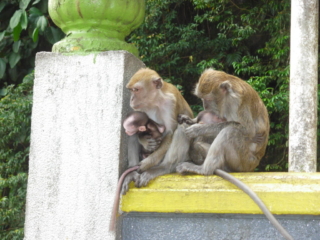 Batu Caves, Malaysia