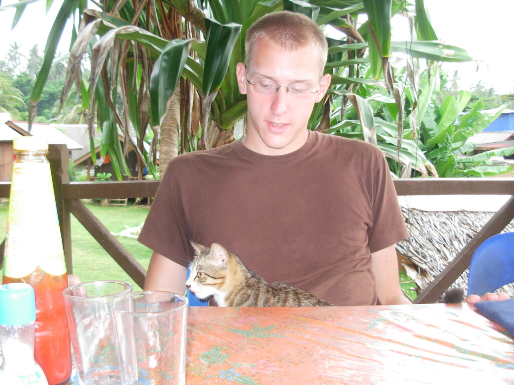 Cats abound on Perhentian Island