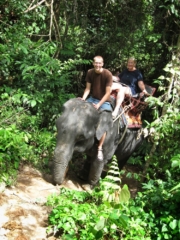 Phang Nga Elephant Park,Thailand