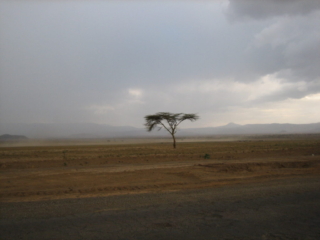 The Great Rift Valley, Kenya