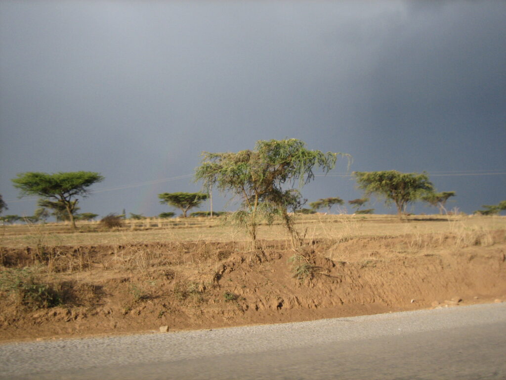 The Great Rift Valley