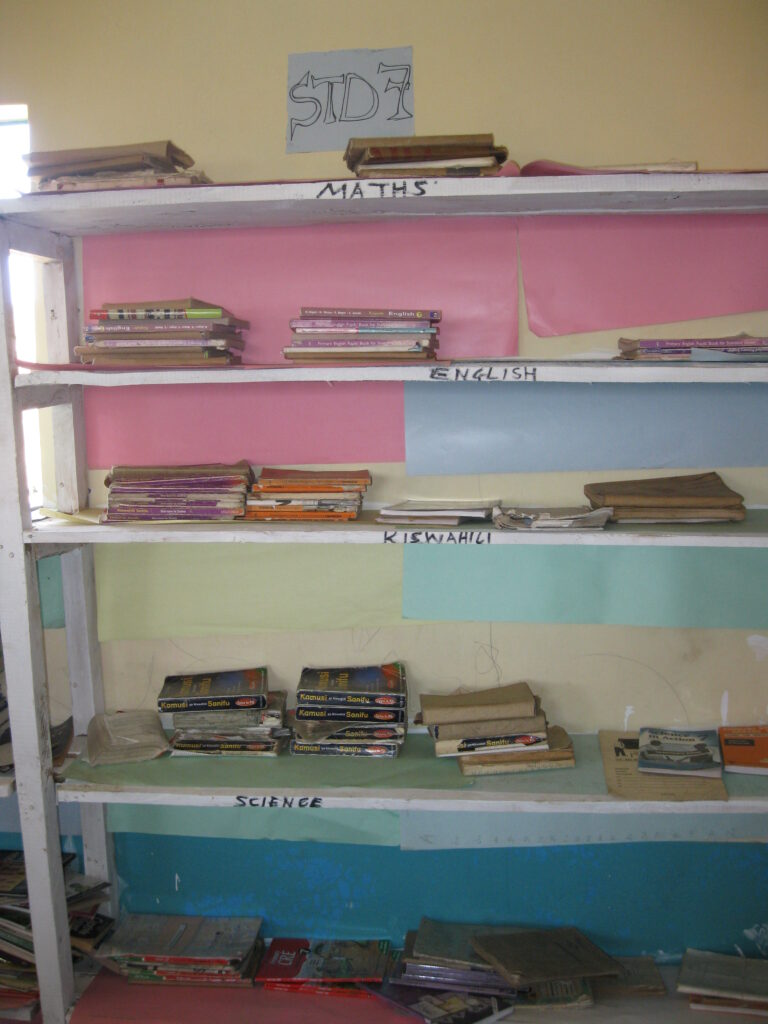 Library book shelves 