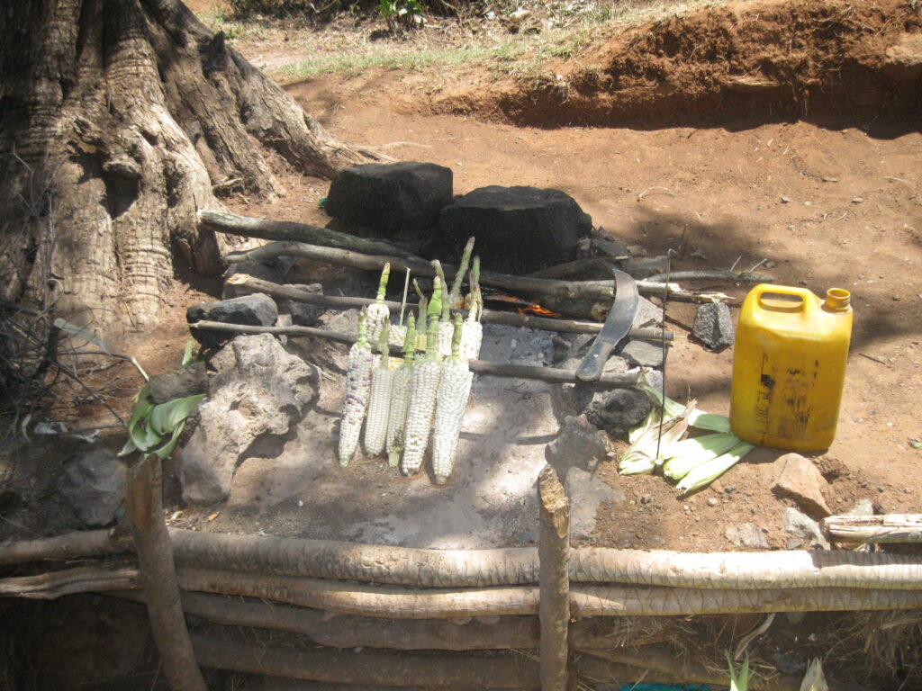 Roasting corn