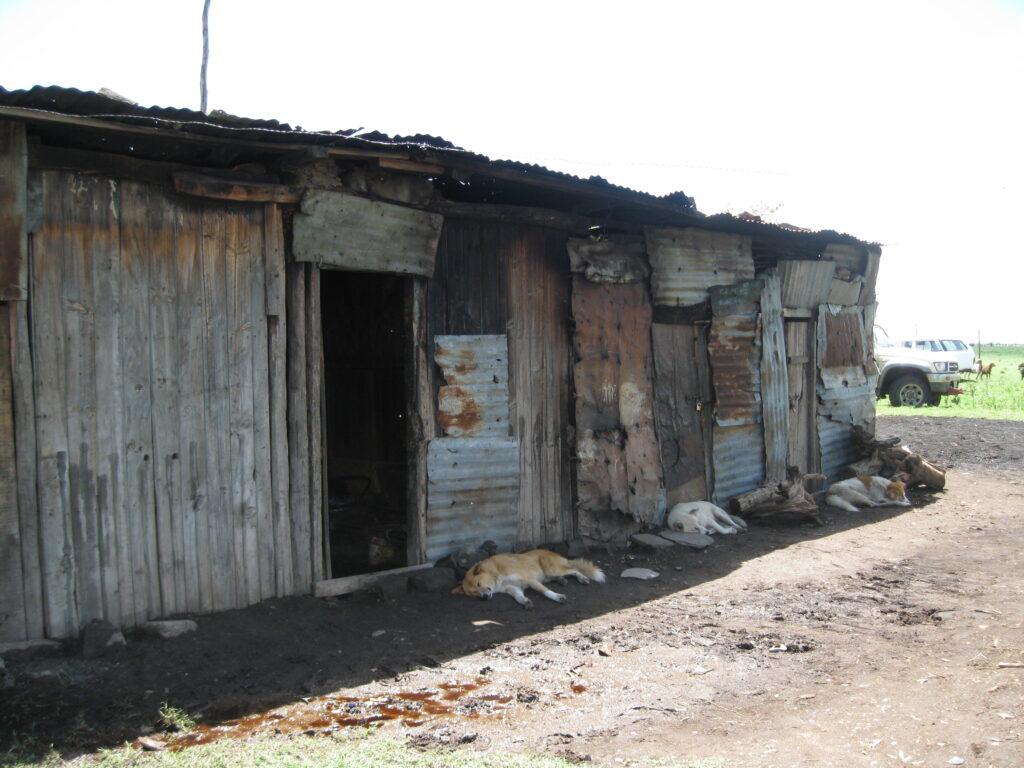 A row of houses in Talek, Kenya 