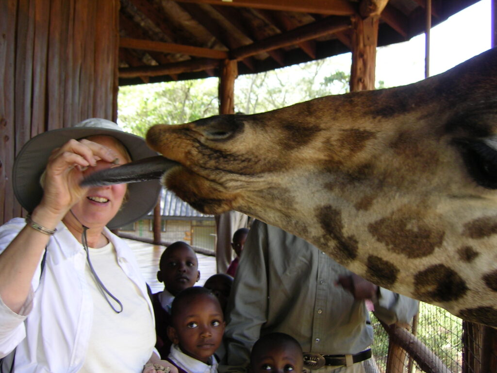 Ginger feeding a Rothchild giraffe 