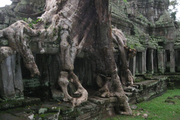 Preah Khan Temple, Siem Reap, Cambodia